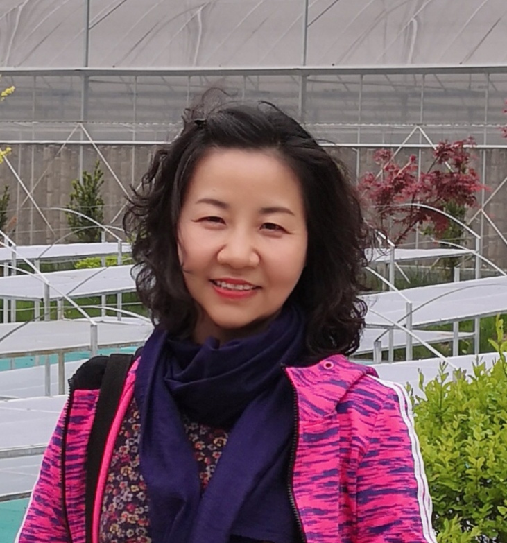 95d7433a907b6ab2711cc27b432257d